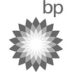 bp logo copie
